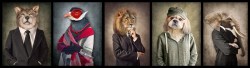 Vintage animals_AS212128324